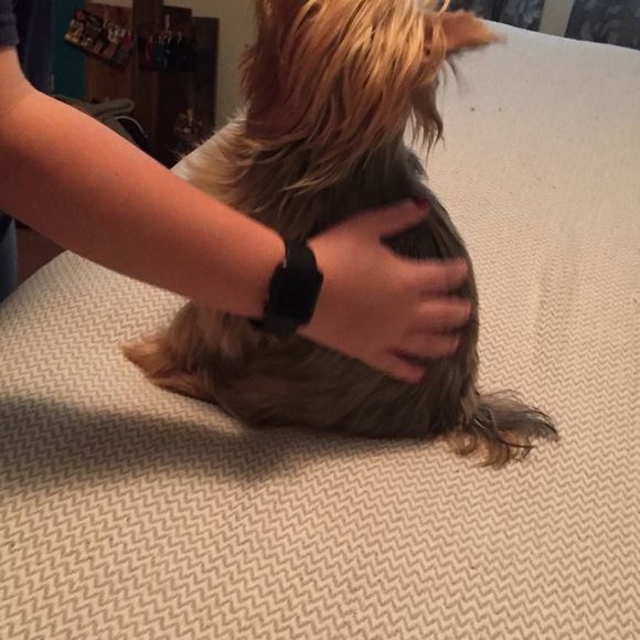 Profile Picture of Marilyn Martin (@marilynmarti561) on Poshmark