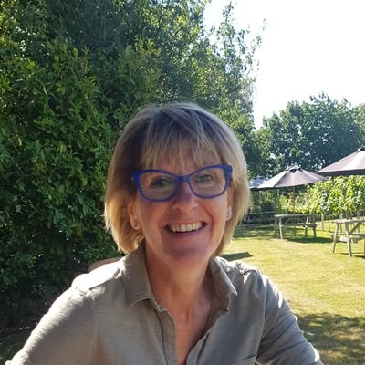 Profile Picture of Betsy Fowler (@BFoEd) on Twitter