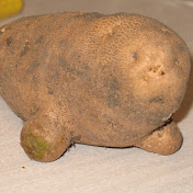 Profile Picture of Devin Gill (@23PinkFloyd) on Youtube