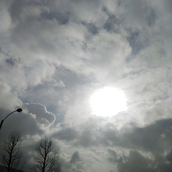 Profile Picture of Aracely Rocha (@chely1171) on Poshmark