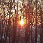 Profile Picture of Susan Dusthimer (@triedhundredx) on Instagram