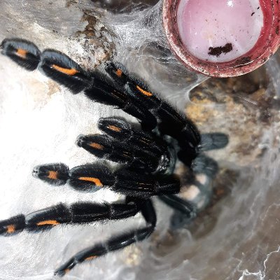 Profile Picture of Debora Mcclure (@DeboraMcclure11) on Twitter