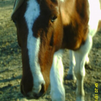 Profile Picture of Loren Wagner (@LorenWagner) on Twitter