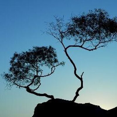 Profile Picture of Alexander Winters (@alexwinters42) on Twitter
