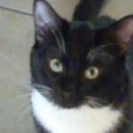 Profile Picture of todd clements (@clements.kid) on Instagram