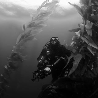 Profile Picture of Mark Judd (@mark.judd.566) on Facebook