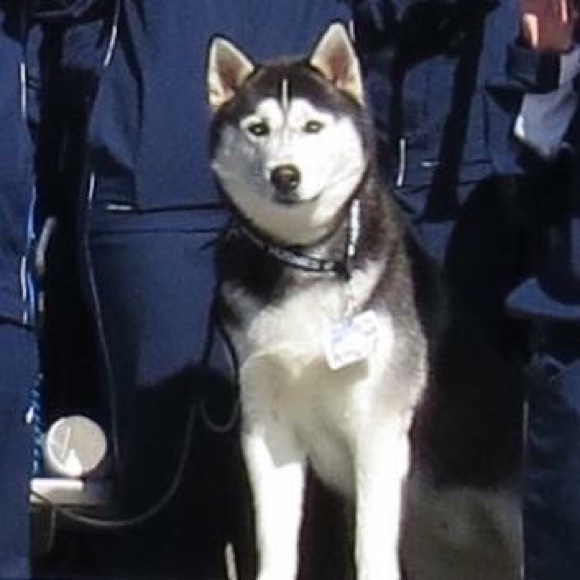 Profile Picture of Michele Sedler (@michelesed) on Poshmark