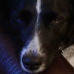 Profile Picture of Hugh sweeney (@hugh_sweeney_) on Instagram