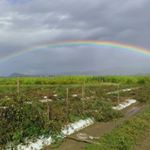 Profile Picture of erwin ramirez (@erwinramirez43) on Instagram