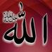 Profile Picture of Mohammad Fahim Safdary (@mohammadfahim.saftari) on Facebook