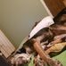 Profile Picture of Chris Bashaw (@chris.bashaw.129) on Facebook