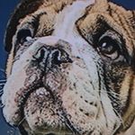 Profile Picture of Michael Bublaylock (@michael_bublaylock) on Instagram