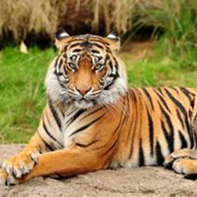 Profile Picture of Keron The Eliminator (@keron_charles33) on Twitter