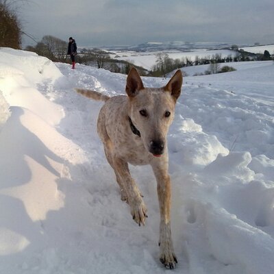 Profile Picture of Claire Anderson (@Curly1511) on Twitter