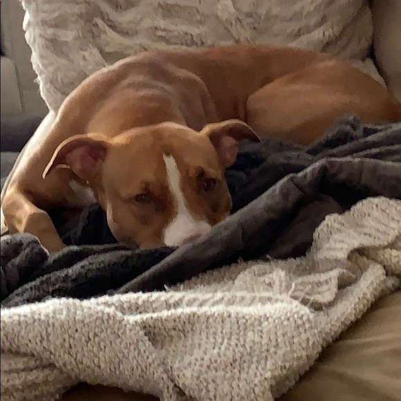 Profile Picture of Kathryn Kellgren (@k_kellgren) on Poshmark