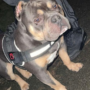 Profile Picture of James Archer (@jamesarcher4324) on Youtube