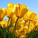 Profile Picture of Lucy Lopez Fierro (@lucylopezfierro) on Instagram