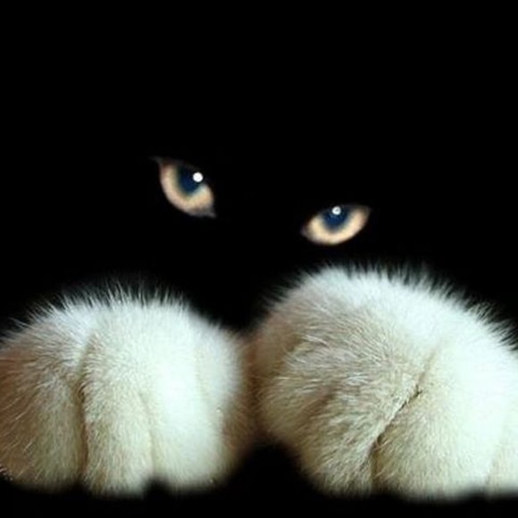 Profile Picture of Jessica Haselden (@corisu) on Poshmark