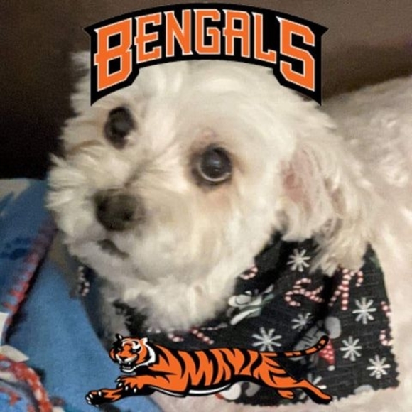 Profile Picture of Adam Zerges (@adamzerges) on Poshmark