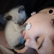 Profile Picture of Aixa Alvarez De La Torre (@aixaalvarezdelatorre8565) on Youtube