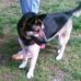 Profile Picture of Brenda Blaylock (@Brenda-Blaylock) on Facebook