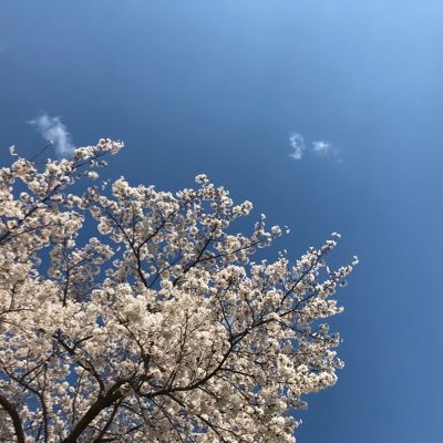 Profile Picture of カジカジ (@DMOlkJg5DuGGnDj) on Twitter