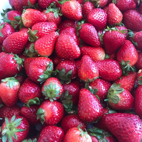 Christa Demment gonzalez - Poshmark Profile Picture of Christa Demment gonzalez (@mammarefresh) on Poshmark