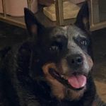 Profile Picture of Lois (@donnalynn_7) on Instagram