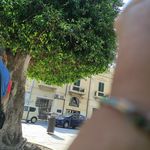 Profile Picture of Erica Morabito (@erica.morabito.58) on Instagram