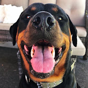 Profile Picture of Hunter Rhea (@hunterrhea2464) on Youtube