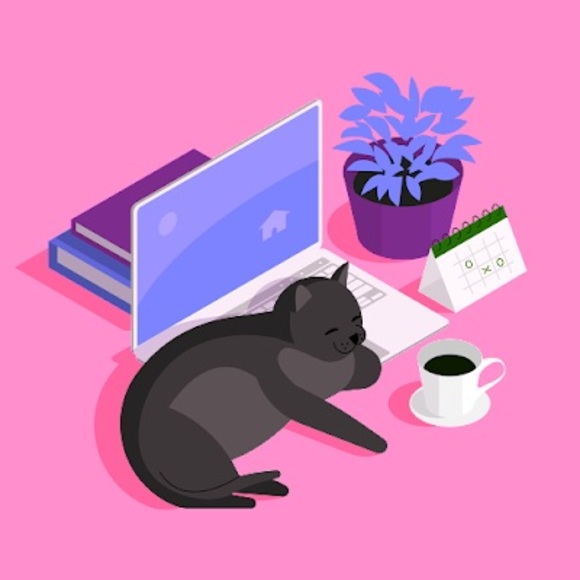 Profile Picture of Chloe Christopher (@chloechristo358) on Poshmark