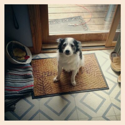 Cody Fred - Twitter Profile Picture of Cody Fred (@CodyFunkingFred) on Twitter