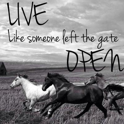 Stephen Haughton - Twitter Profile Picture of Stephen Haughton (@shaughton2) on Twitter