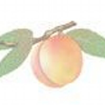 Profile Picture of Steve & Jan Young (@youngsorchard) on Twitter