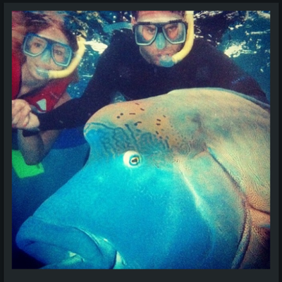 Sam Locke - Twitter Profile Picture of Sam Locke (@sam_locke) on Twitter