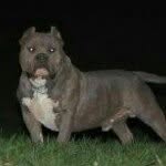 Profile Picture of David Heiber (@heiberdavid) on Instagram