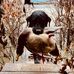Profile Picture of Darron Hicks (@darron.hicks.5) on Facebook