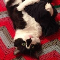 Profile Picture of Aurelia Brown (@aurelia-brown-3) on Quora