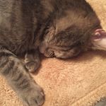 Profile Picture of Scott wade (@scott_wade_1011) on Instagram