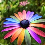 Profile Picture of _hilary_post (@_hilary_post) on Instagram