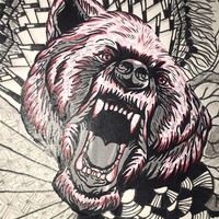 Profile Picture of Dylan Shine (@dylan-shine-4) on Quora