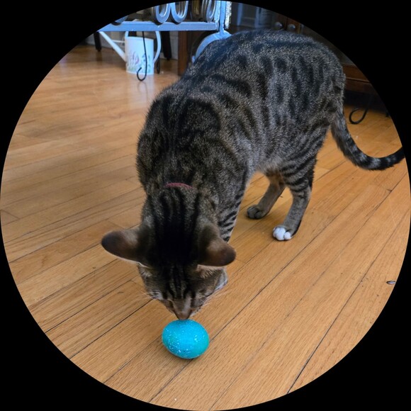 Kate Boulter - Poshmark Profile Picture of Kate Boulter (@katziezzz) on Poshmark