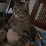 Profile Picture of Tae Collins (@yaboy.tae.5) on Facebook