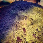 Profile Picture of Blair Gilbreath (@blairasaurusrex) on Instagram