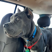 Profile Picture of Ken Morgan (@kenmorgan1698) on Youtube