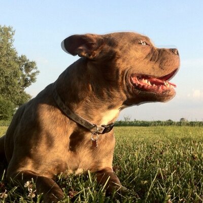 Profile Picture of Gary Schrader (@virgoman1977) on Twitter