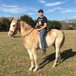 Profile Picture of Joshua (@oakswine) on Instagram