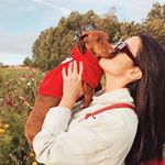 Profile Picture of Bob the sausage (@bob.thesausage) on Instagram