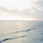 Profile Picture of fernando_alfonso (@fernando_alfonso) on Instagram