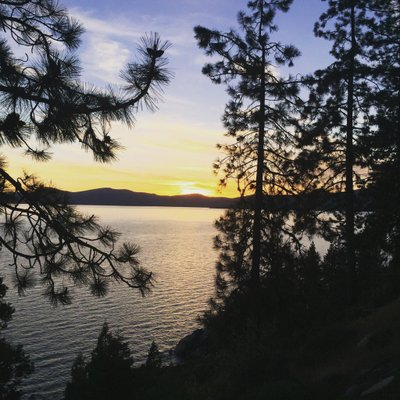 Profile Picture of Justin Warwick (@WarwickJustin) on Twitter